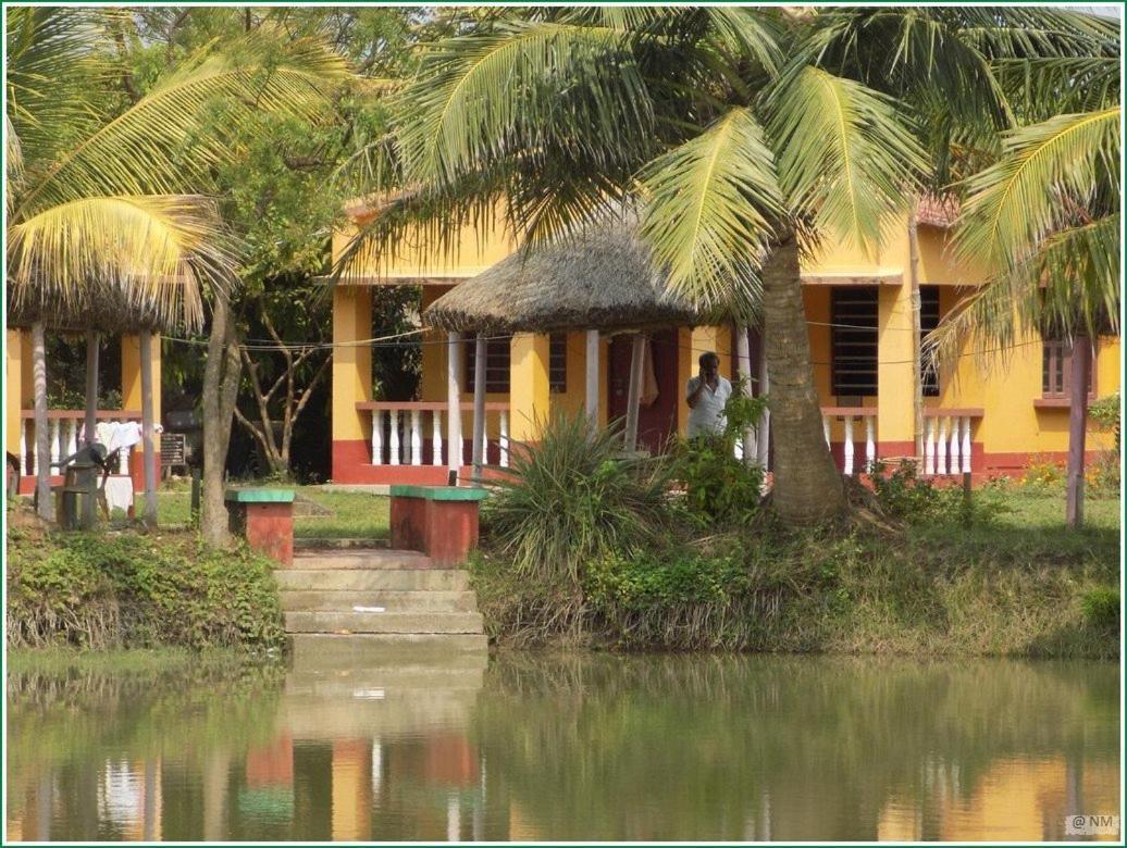 Tarangamala Resort มันดราโมนี ภายนอก รูปภาพ